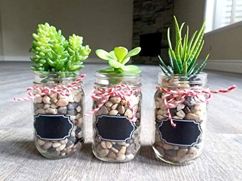 Firefly Craft Chalkboard Labels for Spice Jars and Organizing, Large 60 Pack